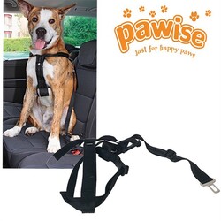 Pawise - 13053 Pawise Emniyet Kemer Tokalı Tasma L 70-90cm