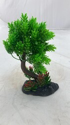 1323 Bonsai Ağaç Akvaryum Bitki