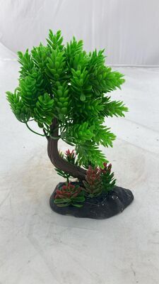 1323 Bonsai Ağaç Akvaryum Bitki - 1