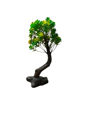 Bonsai Ağaç Akvaryum Bitki (Büyük)