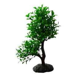 Fatih-Pet - 1416 Bonsai Ağaç Akvaryum Bitki