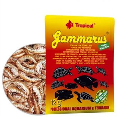 301 Tropical Gammarus Pulex 12gr Kaplumbağa Balık Yemi - 1