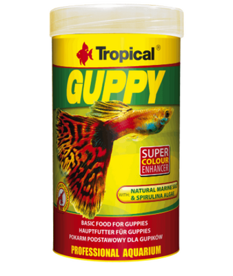 77053-Guppy Lepistes Balık Yemi  100ml 20gr - 1