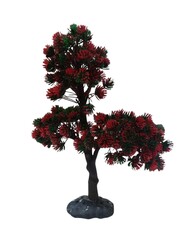 970 Bonsai Ağaç Akvaryum Bitki 10 lu - Thumbnail