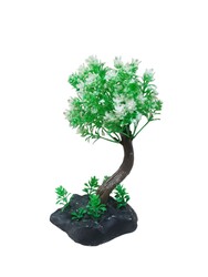 970 Bonsai Ağaç Akvaryum Bitki 10 lu - Thumbnail