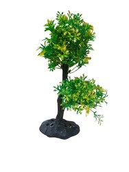 970 Bonsai Ağaç Akvaryum Bitki 10 lu - Thumbnail
