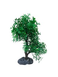 970 Bonsai Ağaç Akvaryum Bitki 10 lu - Thumbnail