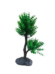 970 Bonsai Ağaç Akvaryum Bitki 10 lu - Thumbnail