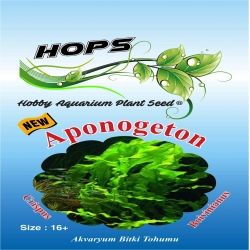 Akvaryum Bitki Tohumu Aponogeton - Crispus/Boivinianus 12 li - 1