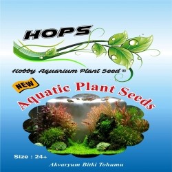 Akvaryum Bitki Tohumu Aquatic Plant Seeds 12 li