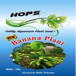 Akvaryum Bitki Tohumu Banana Plant 12 li