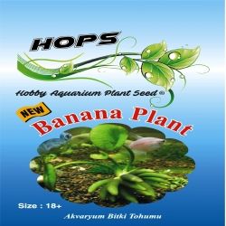 Akvaryum Bitki Tohumu Banana Plant 12 li - 1
