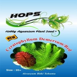 Akvaryum Bitki Tohumu Ceratophyllum Demersum-Red 12 li - 1