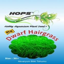 Akvaryum Bitki Tohumu Dwarf Hairgrass 12 li