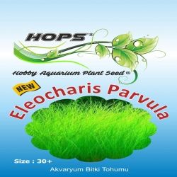 Akvaryum Bitki Tohumu Eleocharis Parvula 12 li - 1