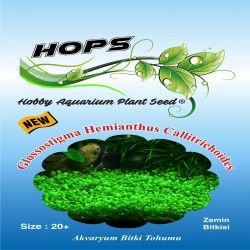 Akvaryum Bitki Tohumu Glossostigma Hemianthus Callitrichoides 12 li