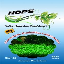 Akvaryum Bitki Tohumu Glossostigma Hemianthus Callitrichoides 12 li - 1
