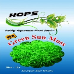 Akvaryum Bitki Tohumu Green Sun Moss 12 li