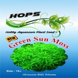Akvaryum Bitki Tohumu Green Sun Moss 12 li - 1