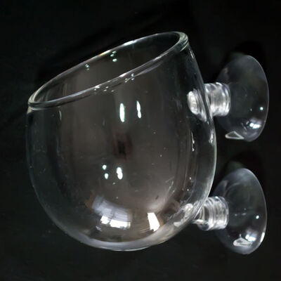 Akvaryum İçi Cam Bitki Saksısı - 1