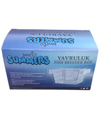 Akvaryum Küçük Yavruluk 