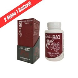 ALLDAY - AllDay Liver Health Tablet 30gr Dog&Cat 9