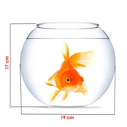 Fatih-Pet - Büyük Boy Bahçe Fanus 6 lı
