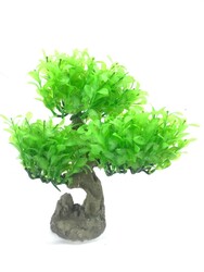 Fatih-Pet - Bonsai Orta