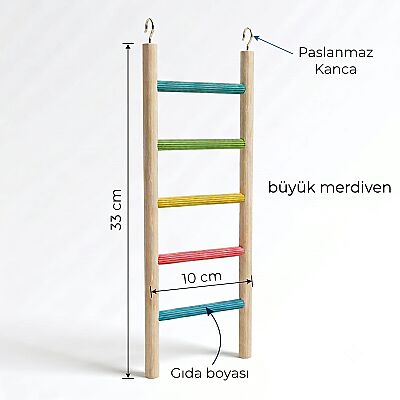 Büyük Merdiven Kuş oyuncağı - 1