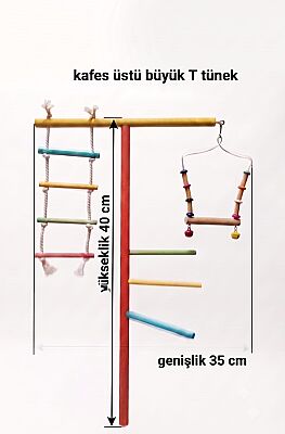 Büyük T Tünek - 1