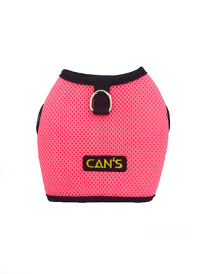 Cans Köpek Sırt Tasması XL boy - 3