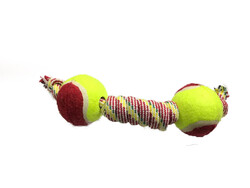 Fatih-Pet - Cans Tenis Toplu Tutmalı Oyuncak 