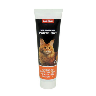 Cleday Multivitamin Paste Cat 100g - 1