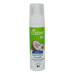 Cleday - Cleday Durulanmayan Köpük Şampuan 200 ml