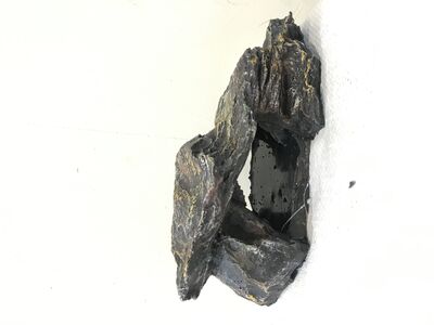 D318-Kaplumbağa Kayası