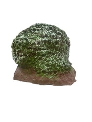 D343 MERCAN