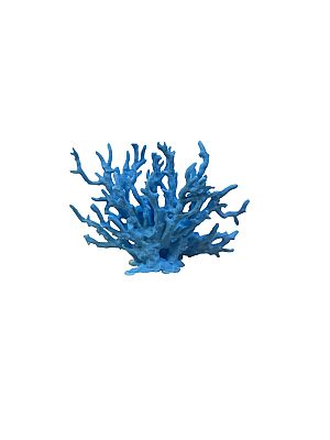 Dal mercan dekor 11 cm x 9 cm x 3 cm - 1