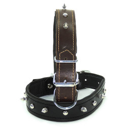 Fatih-Pet - Deri Boyun Tasması L