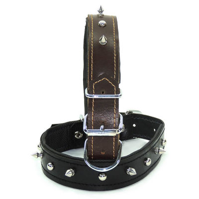  Deri Boyun Tasması L