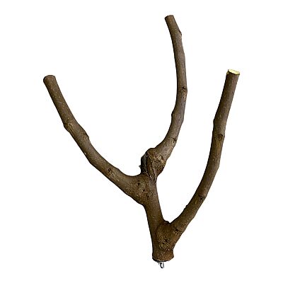 Doğal  Çatallı Papağan Tüneği  - 1