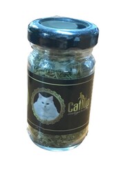 Doğal Catnip