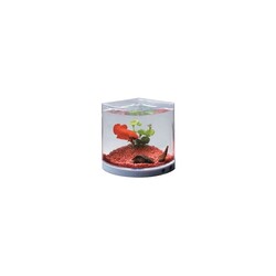 Dophin - Dophin T101A Betta Kabı Tek Işıklı Adaptörlü 