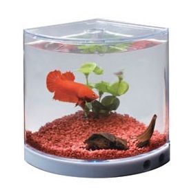Dophin T101KA Betta Kabı Döner Renkli Işıklı Adaptörlü - 1