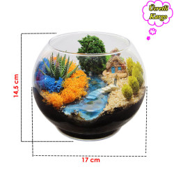 Wonderfull Pet - F2 Orta Boy Fanus (12 li)