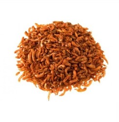 Rotifish - Gammarus (Karides) 1000g
