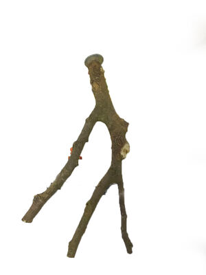 Getreide 1002 Doğal Ahşap Dal Tünek 37,5cm