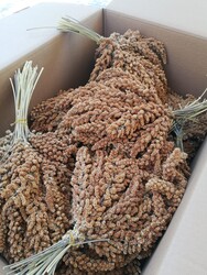 Getreide Kırmızı Doğal Dal Darı 15kg