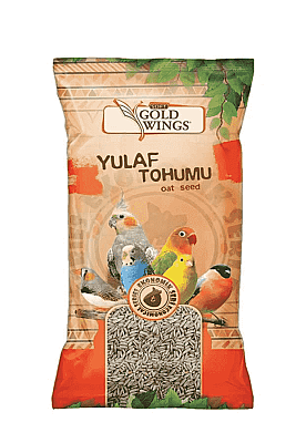 Gold Wings Yulaf Tohumu  300gr.  - 1