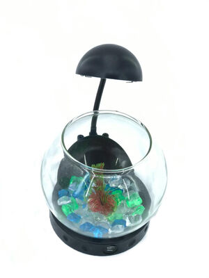 Heto FB-7 Lambalı Fanus Set  - 2
