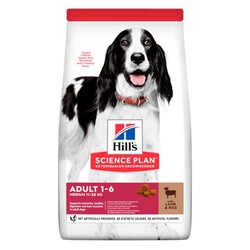 Hills - Hill's Adult Lamb Kuzu Etli Köpek Maması 2.5 kg